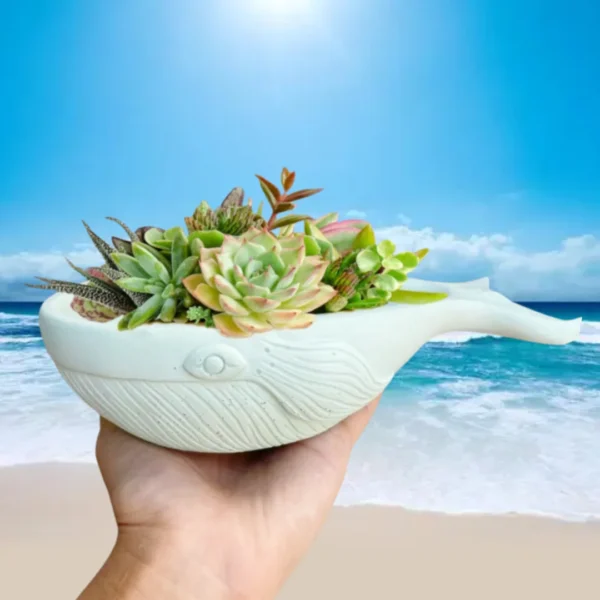 White Whale Succulent Plant Flower Pot Epoxy Resin Silicone Mold Marine Animal Whale Candle Cup Container Concrete Gypsum Mold